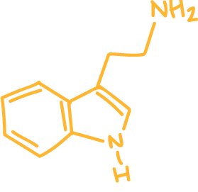 pf-2446de6a--serotoninimage (1).png